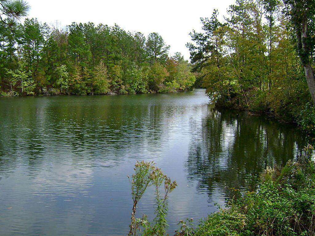 47 Deer Ridge - Photo 1