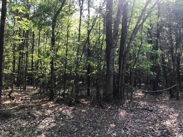 TBD Pr Road 6221 - Photo 1