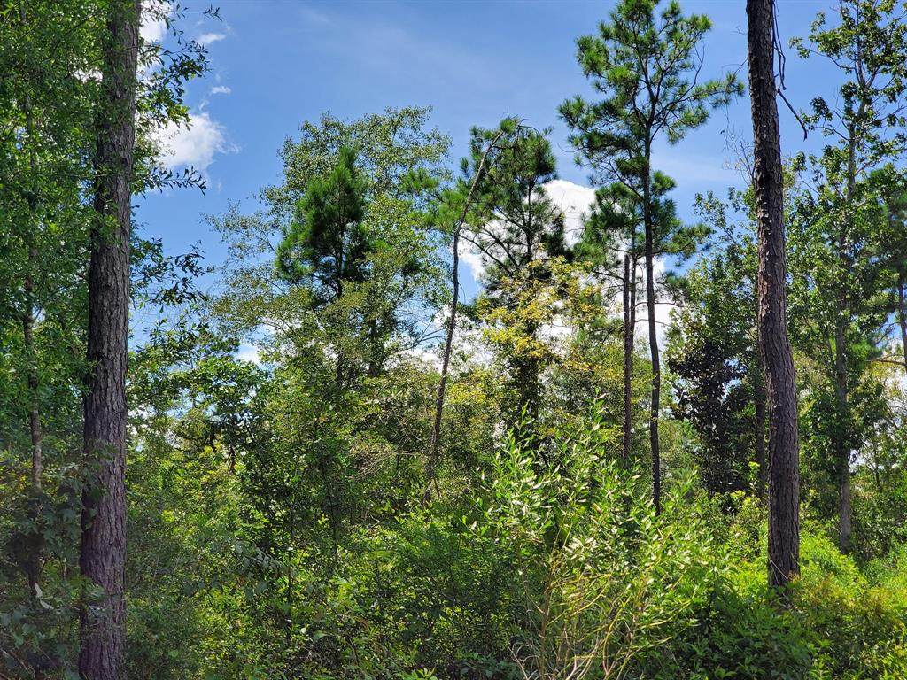 TBD Hwy 190 - Photo 1