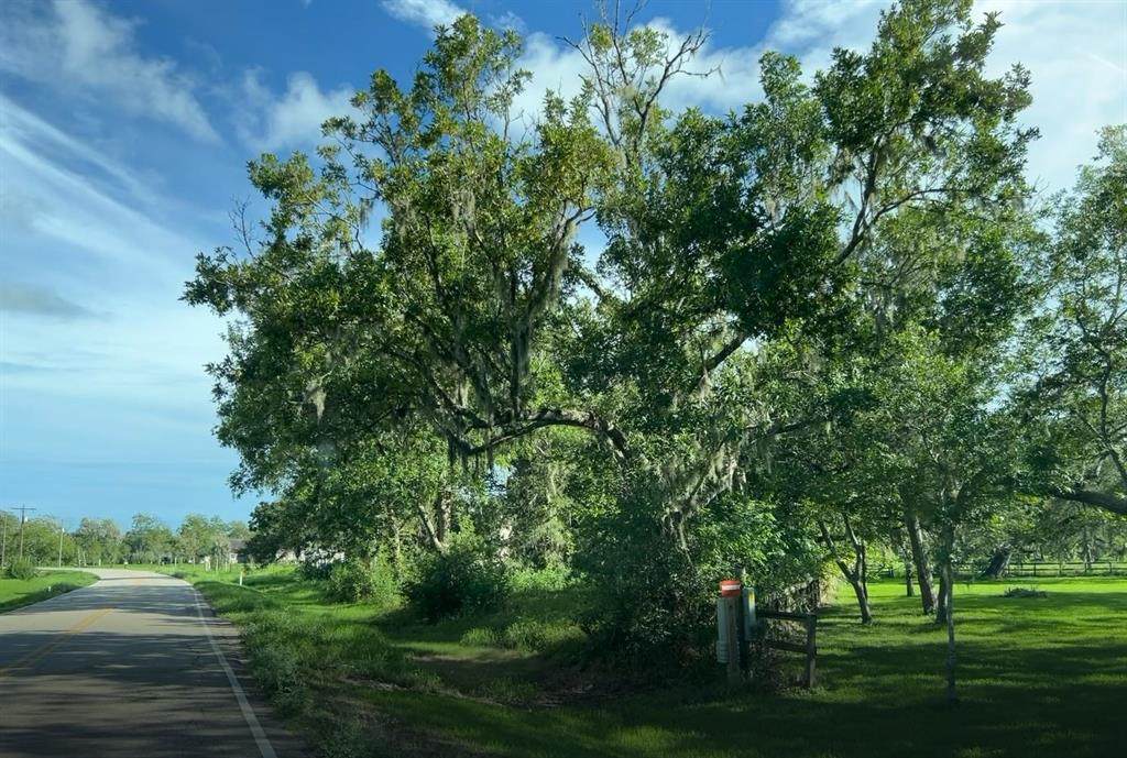 TBD County Road 400 - Photo 1