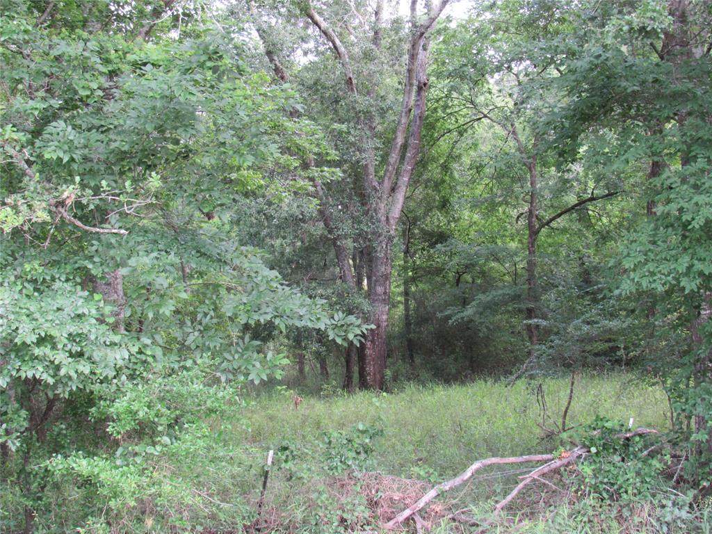 30090 Joseph Road - Photo 1