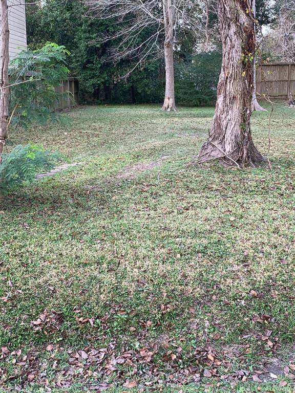 6825 Cohn St Street - Photo 1