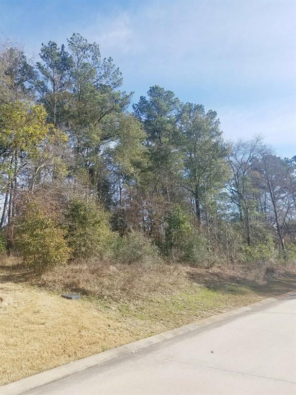 4846 West Fork Boulevard - Photo 1