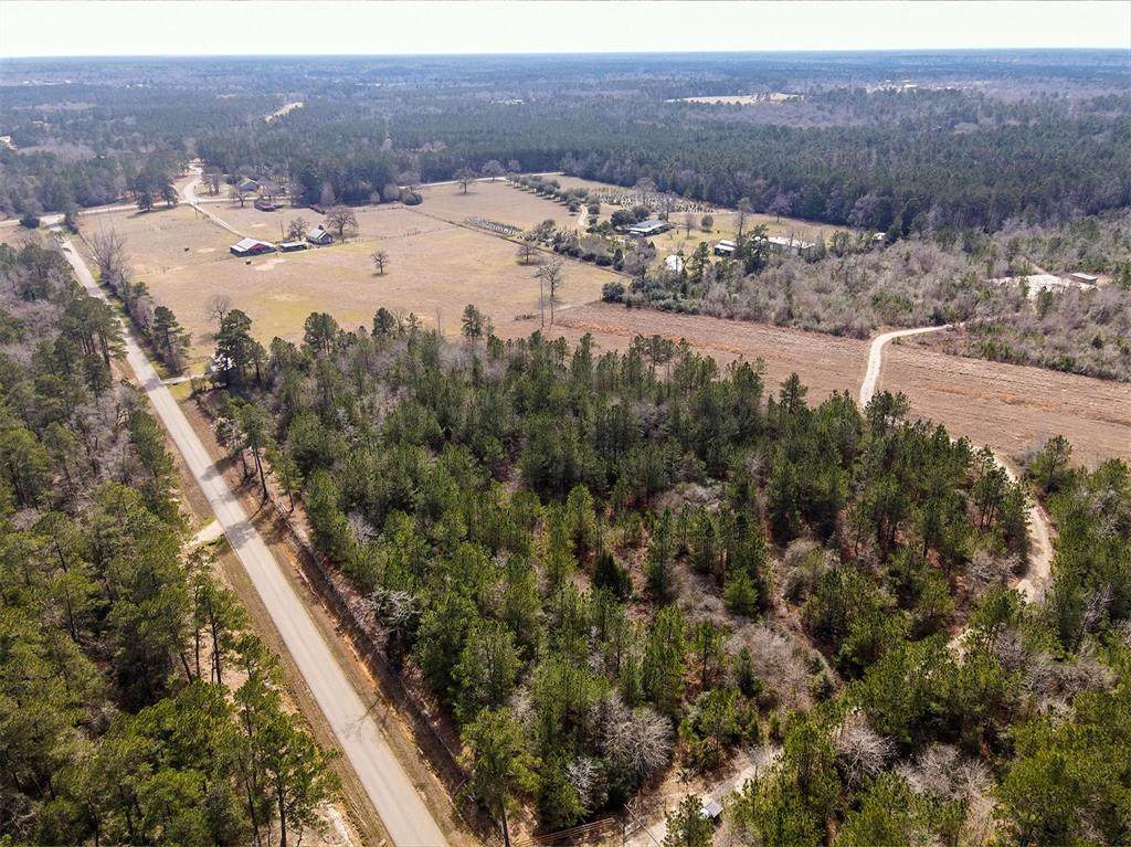 12945 Levi Road - Photo 1