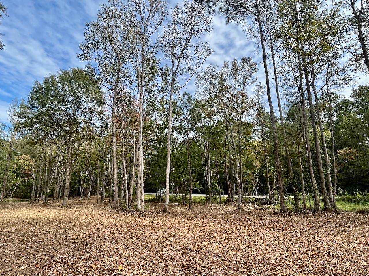 10690 Waukegan Road - Photo 1