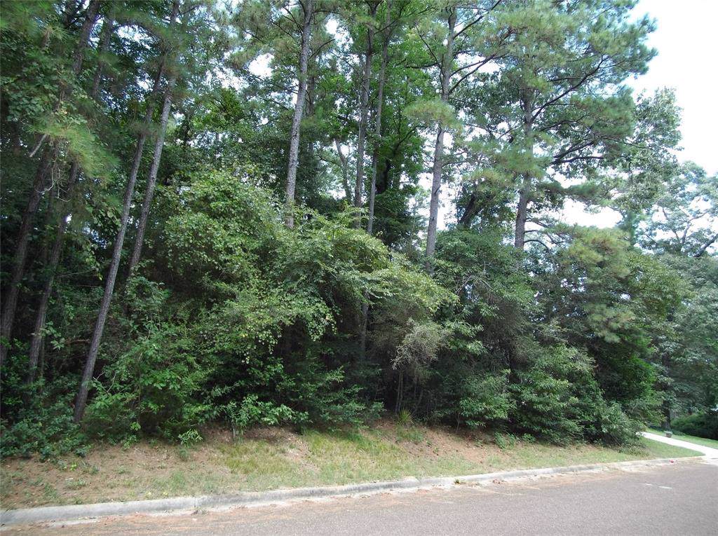 LOT 22&23 Brazos Dr - Photo 1