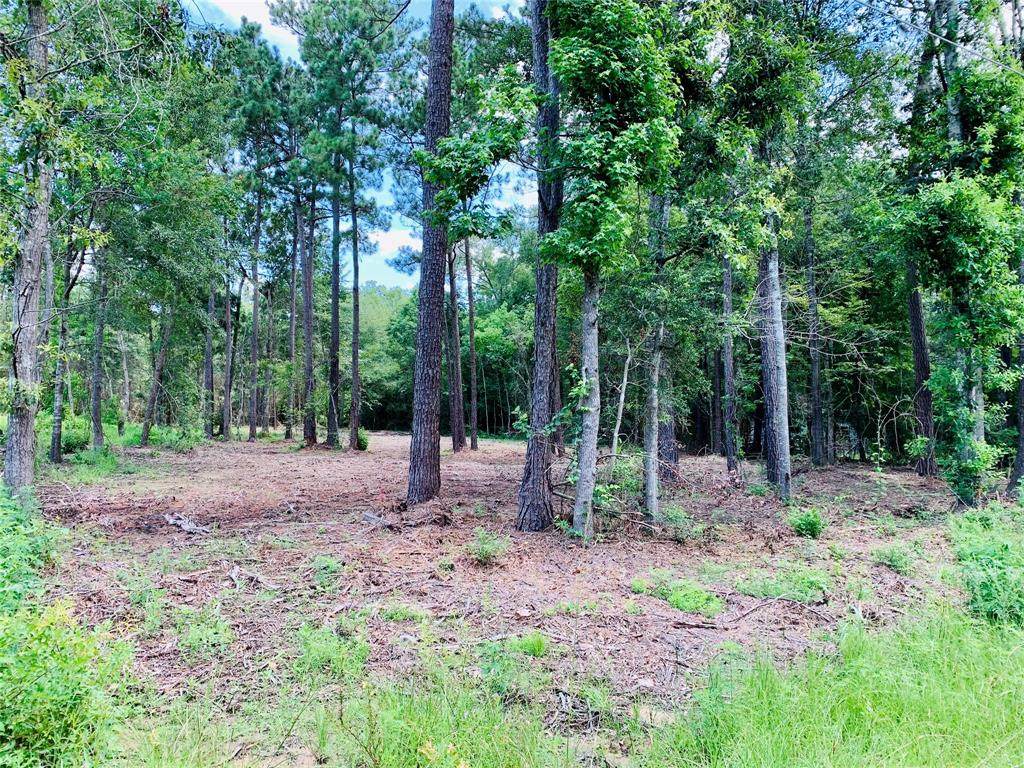 TBD County Road 3893 Rock Creek - Photo 1