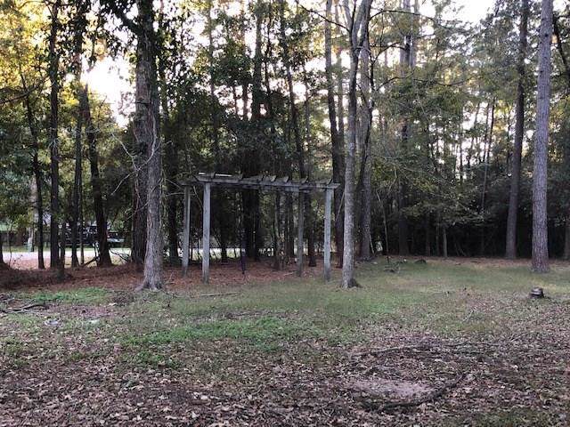 20174 Forest Woods Lane - Photo 1