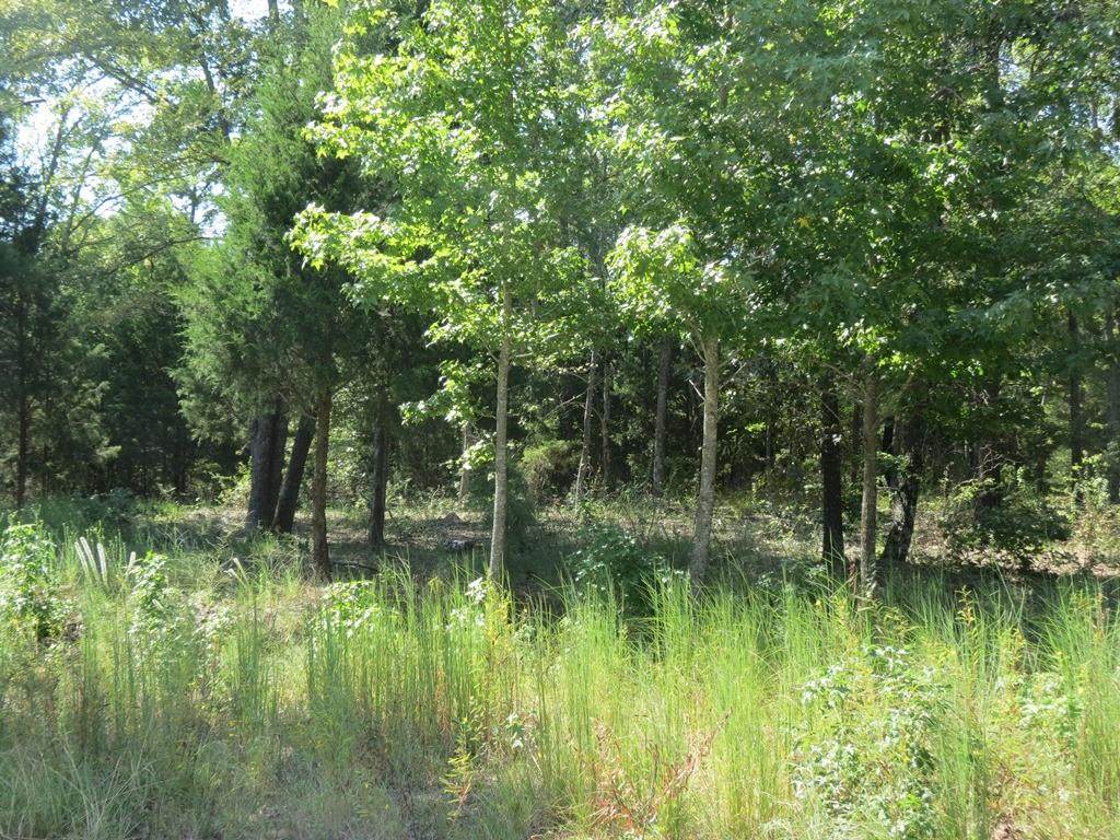 TBD Lot 4 Cr 422 - Photo 1