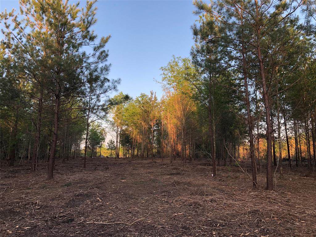 6740 Fm 1003 S - Photo 1