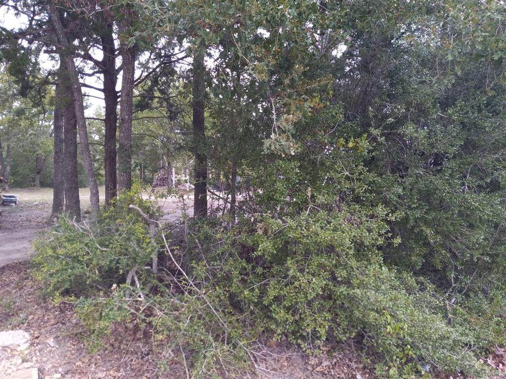 TBD Lot 122 Lake View Loop - Photo 1