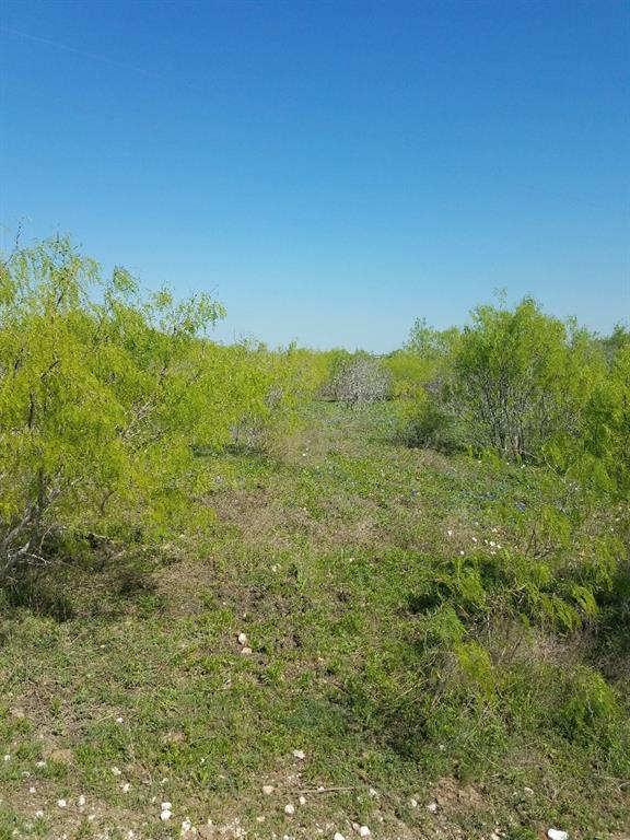 00 Maha Loop Road - Photo 1