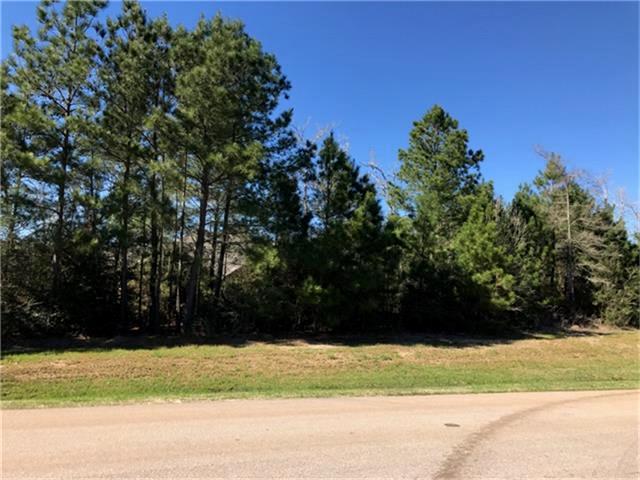 4123 West Crown Crossing - Photo 1