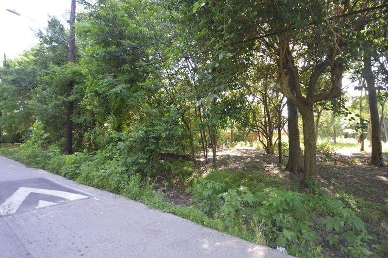 0000 Cohn Street - Photo 1