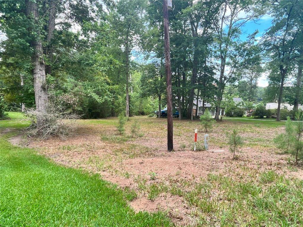 TBD Little Creek Drive - Photo 1