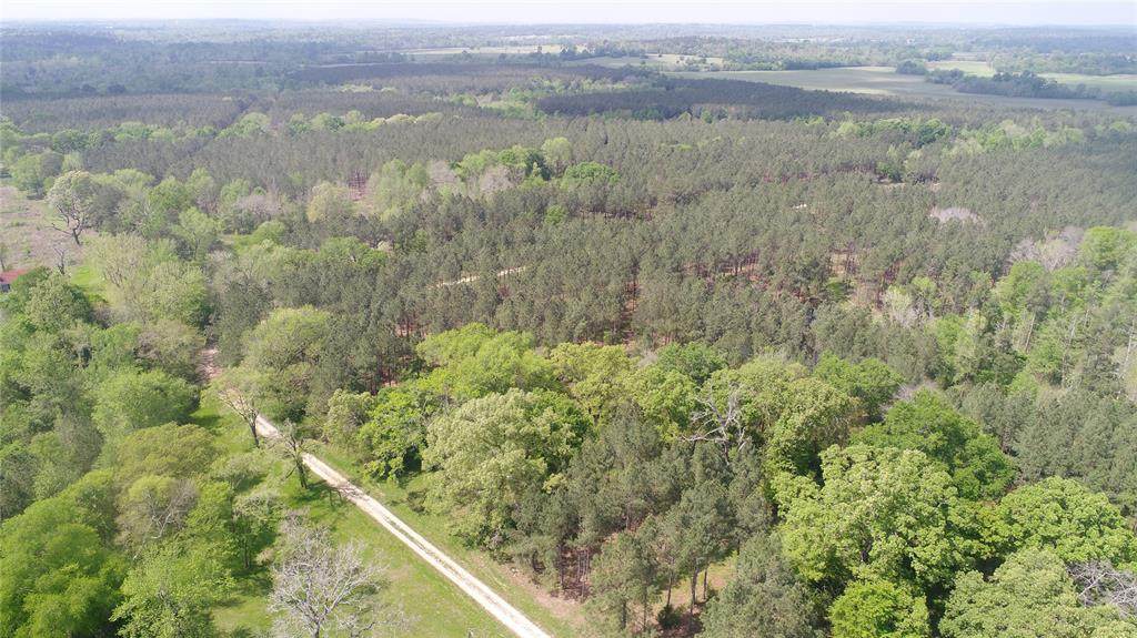1408 County Road 2604 - Photo 1
