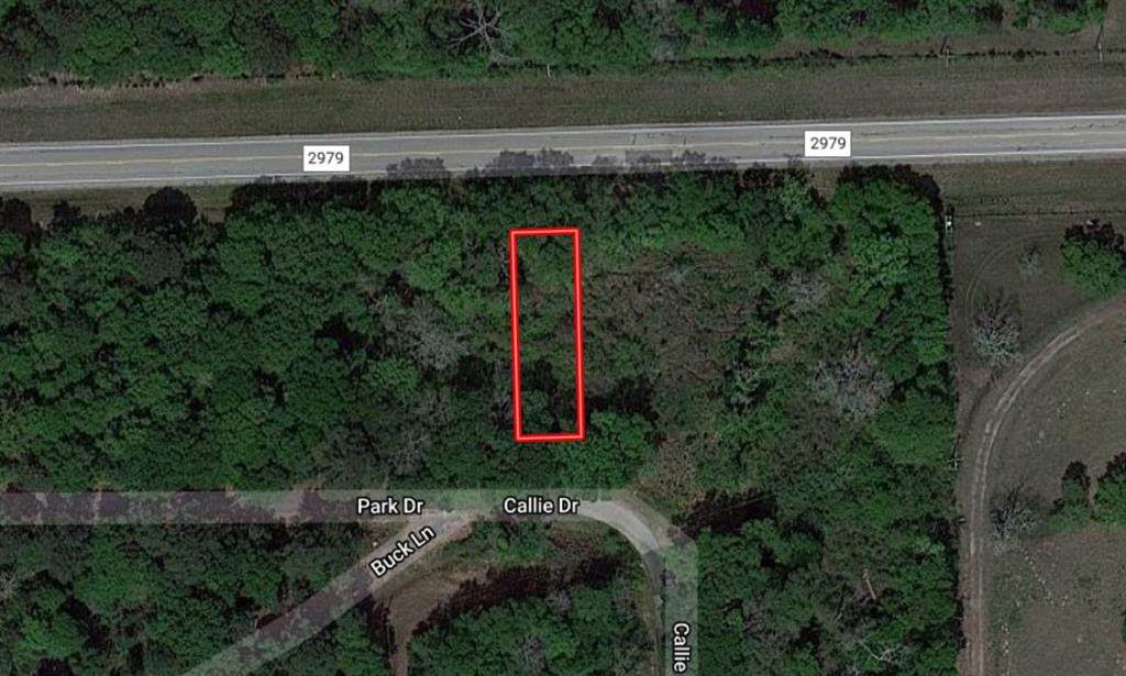 26976 Callie Drive - Photo 1