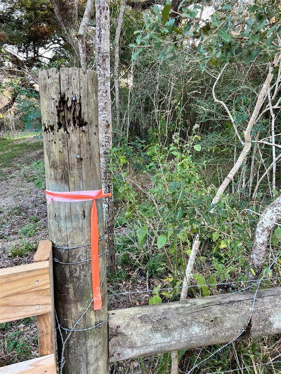 7900-15D Brazos River Rd Road - Photo 1
