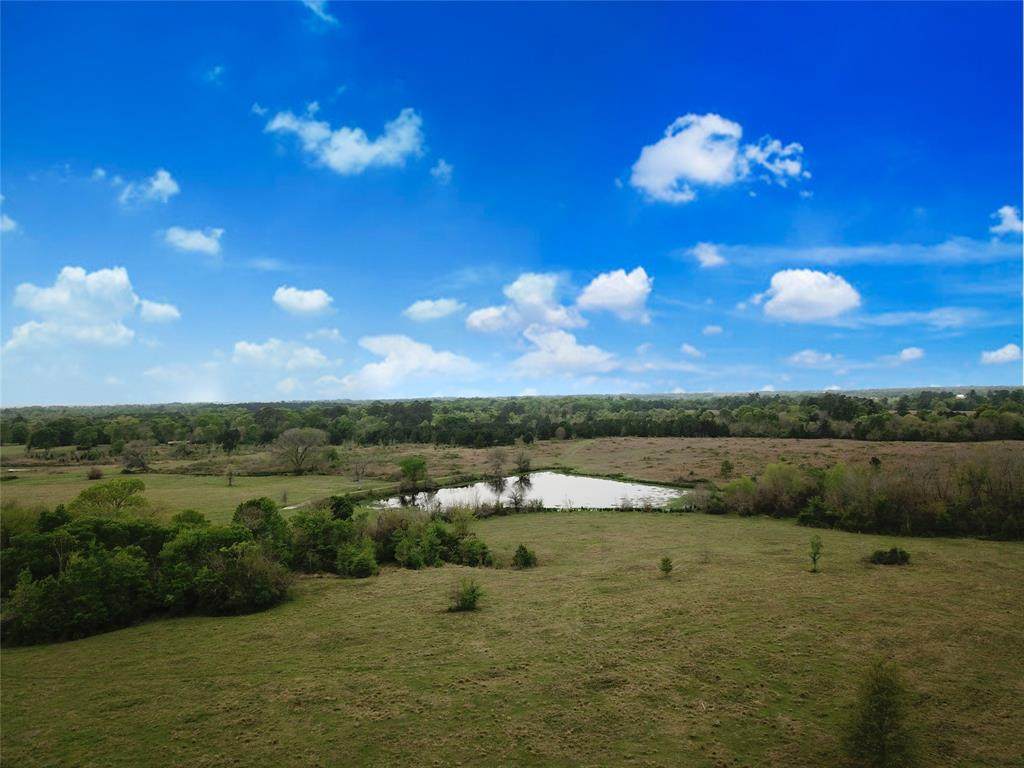 0035 Fm 149 Road - Photo 1