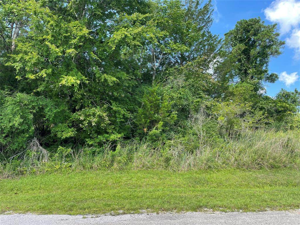 69 Piping Rock Place - Photo 1