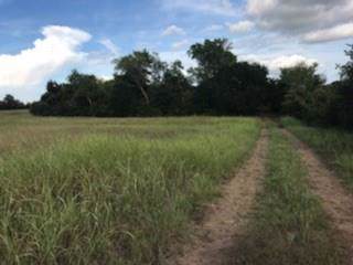 000 Bleiblerville - Photo 1