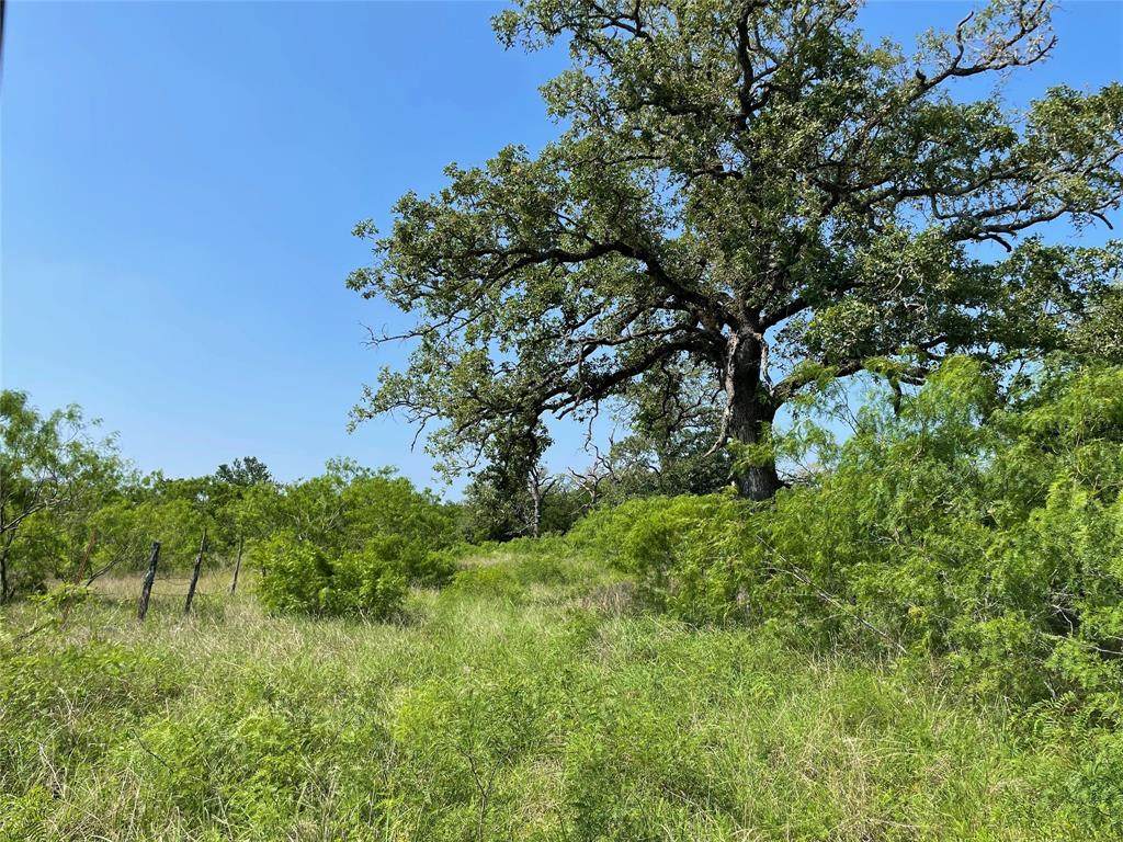 TBD Brown Road - Photo 1