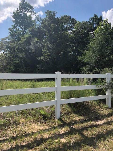 8568 Grand Lake Estates Drive - Photo 1