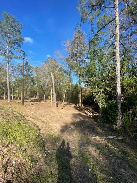 0 Rollingwood Loop 2 - Photo 1