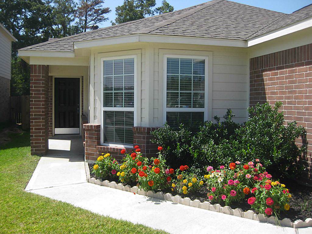 29375 Alba Rose Drive - Photo 1