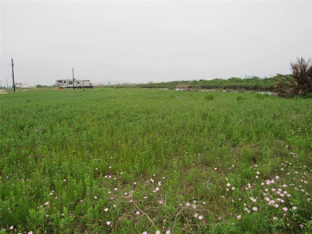 2046 County Road 204 Dolphin Way - Photo 1