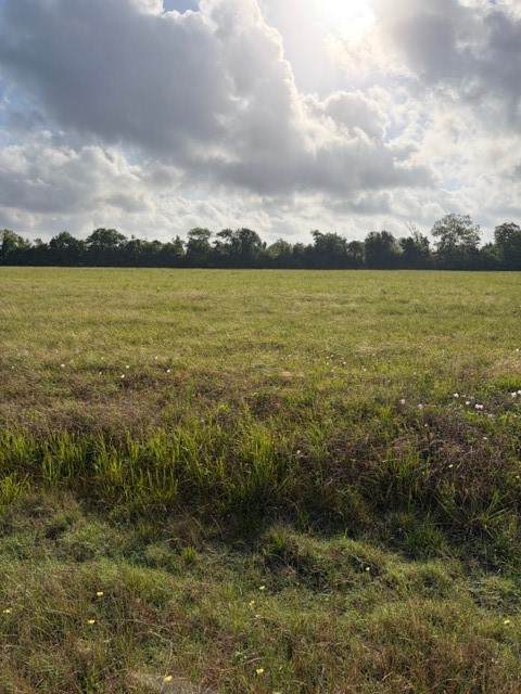 000 Brahman Trail - Photo 1