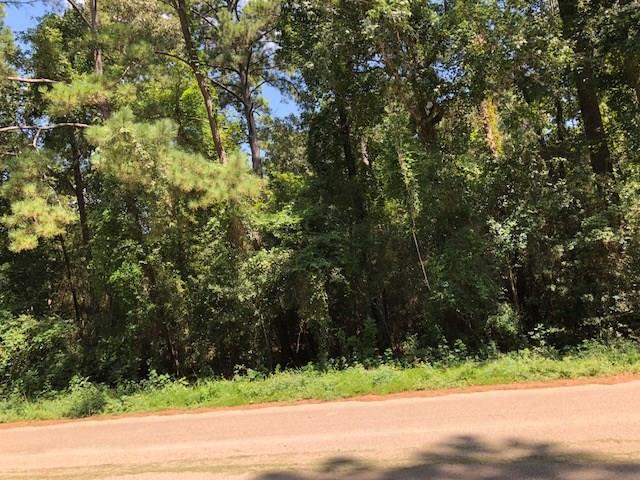 37410 Cole Valley - Photo 1