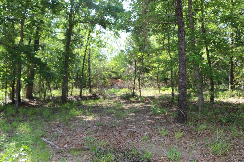 8950 Timber Ridge - Photo 1