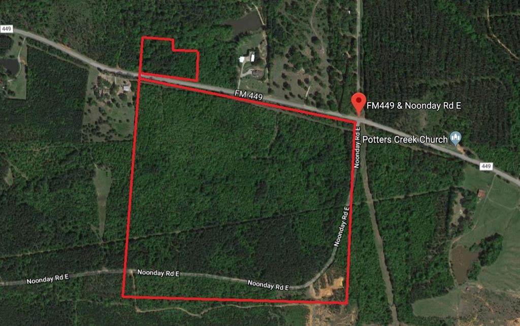 000 Fm 449 Noonday Rd Road - Photo 1