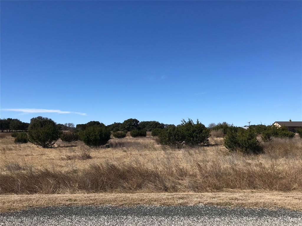 532 Buckskin Trail - Photo 1
