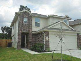 10927 Myrtle Oak Street - Photo 1