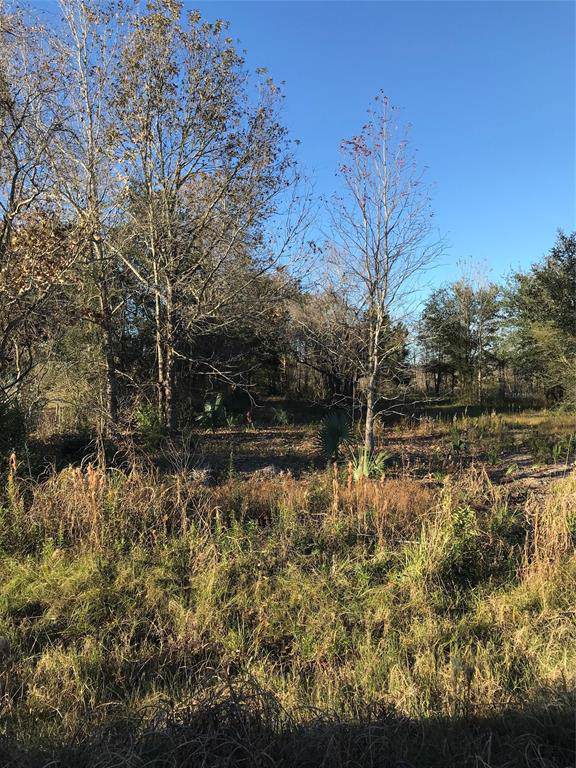 0 County Road 4879 - Photo 1