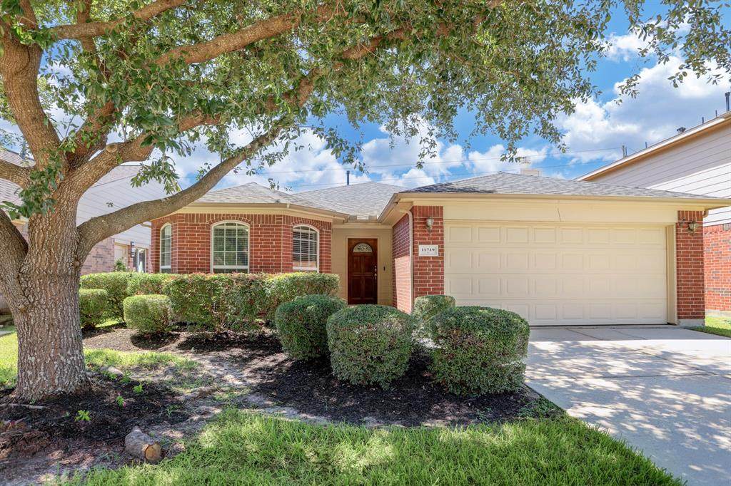 11719 Forest Wind Lane - Photo 1