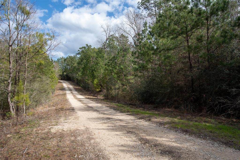 TBD County Road 1170 - Photo 1