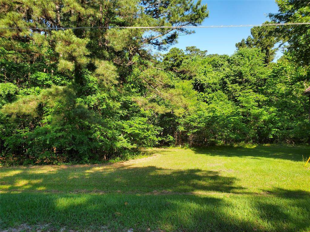 213 Silver Hickory Drive - Photo 1