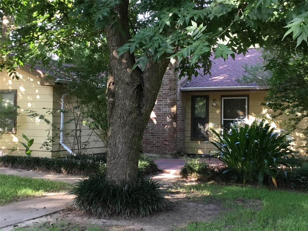 217 Ranier Drive - Photo 1