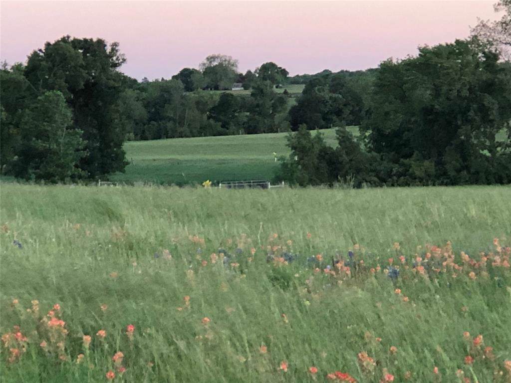0 Bleiblerville - Photo 1