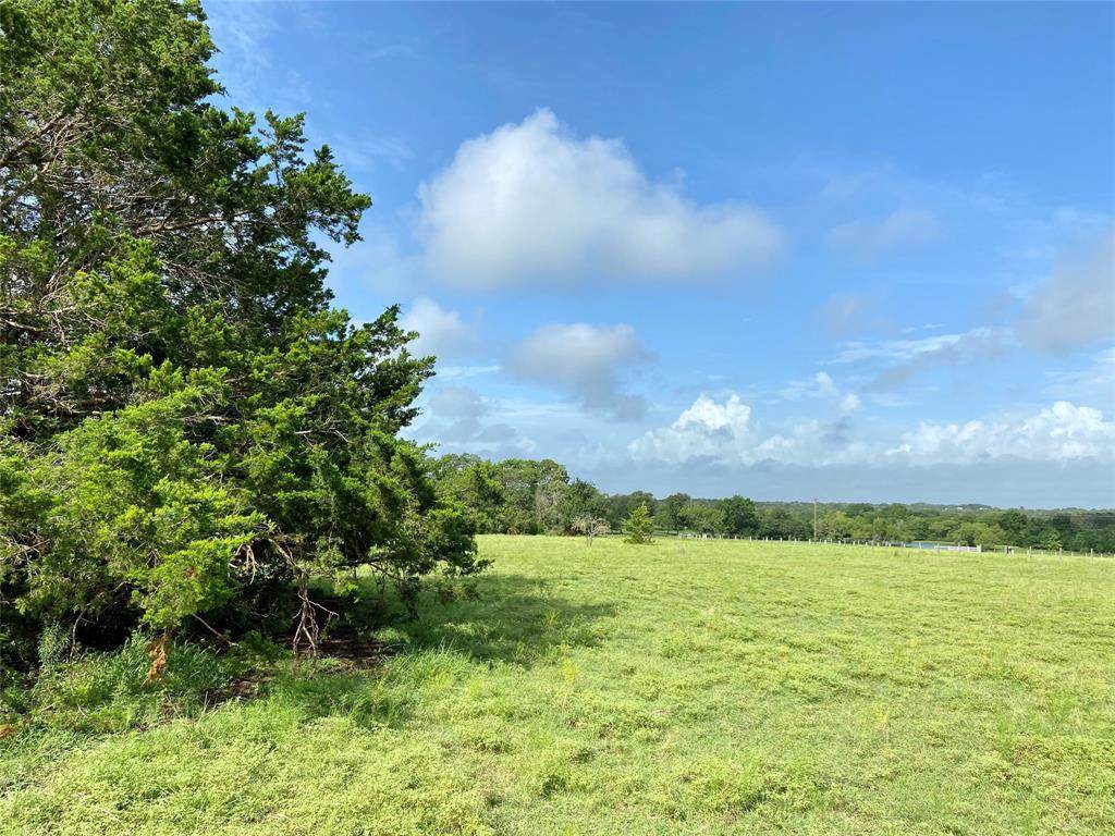 6600 Wied Road Road - Photo 1