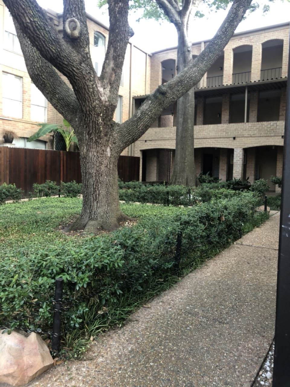 4641 Wild Indigo Street - Photo 1