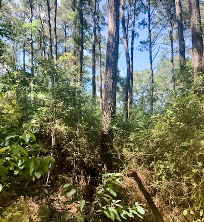 00000 South Tepee Court - Photo 1