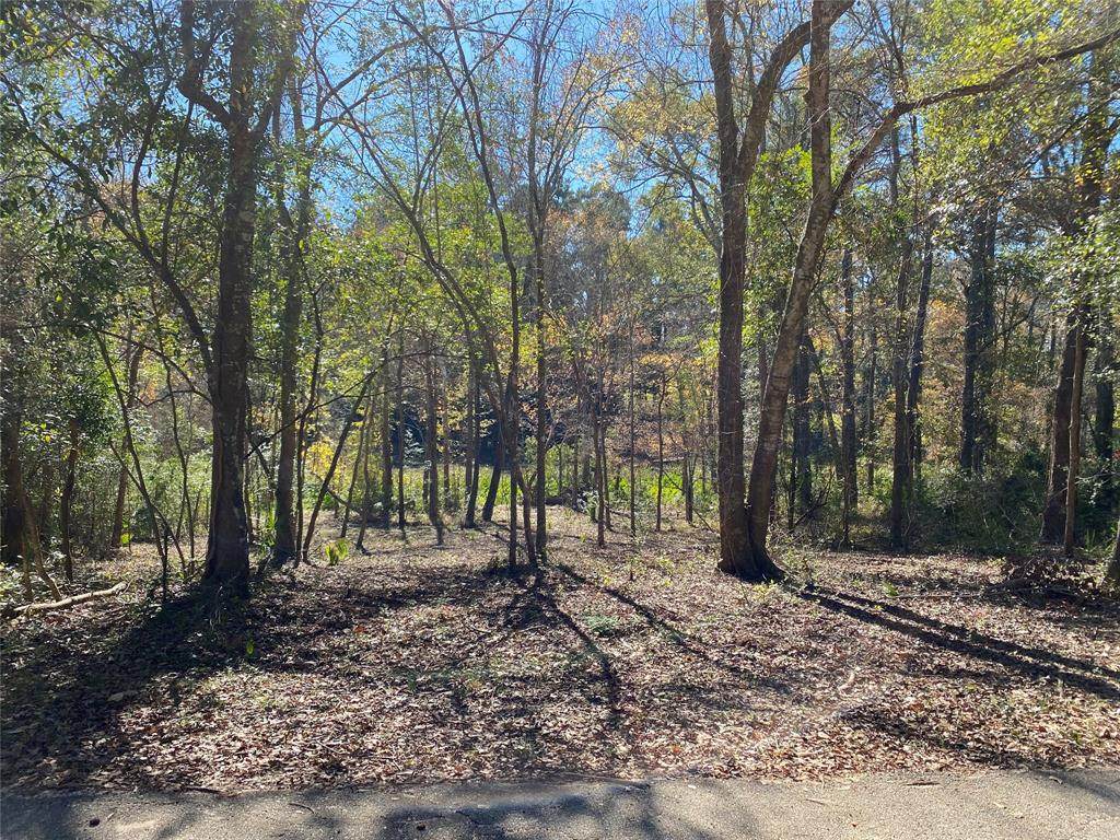 Lot 24 Fultz Road - Photo 1