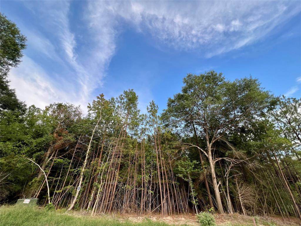 Lot 5 Stonebrook Drive - Photo 1