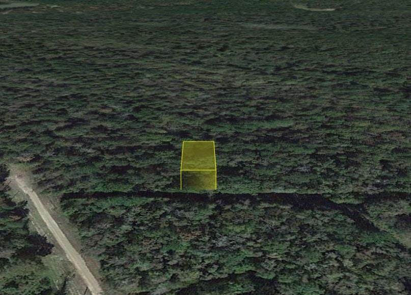 0000 County Road 2563 Mona Lisa Lane - Photo 1