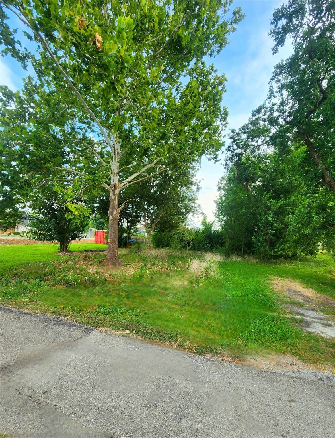 9720 Bucroft Street - Photo 1