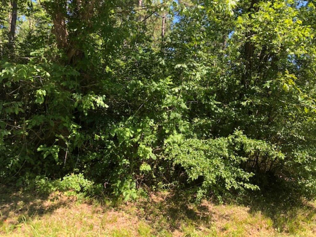 0 Fm 1375 - Photo 1